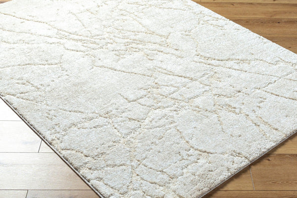 Livabliss Andorra Plush High Pile Accent Rug Soft Polypropylene Blend for Entryways and Bedside Light Gray, Lig 7'10" x 10' ARP2312-71010