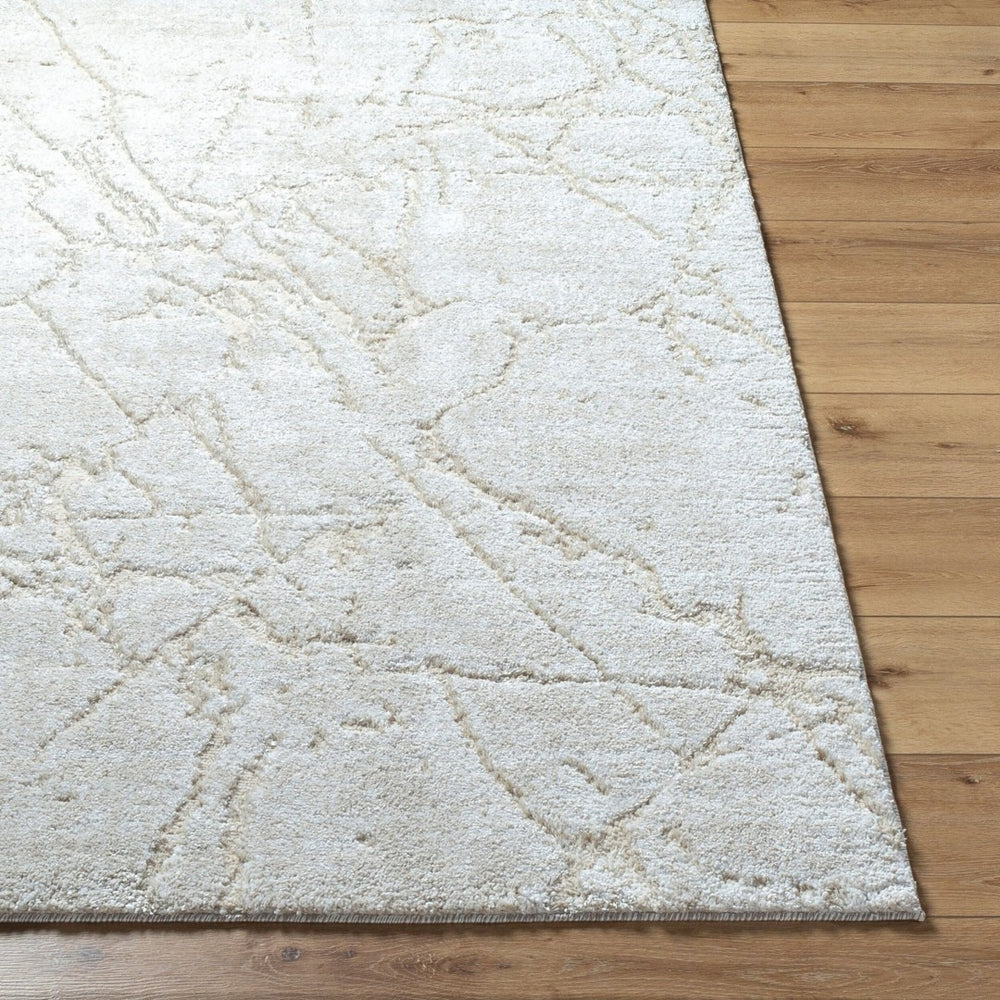 Livabliss Andorra Plush High Pile Accent Rug Soft Polypropylene Blend for Entryways and Bedside Light Gray, Lig 7'10" x 10' ARP2312-71010