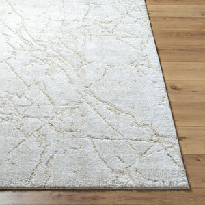 Livabliss Andorra Plush High Pile Accent Rug Soft Polypropylene Blend for Entryways and Bedside Light Gray, Lig 7'10" x 10' ARP2312-71010