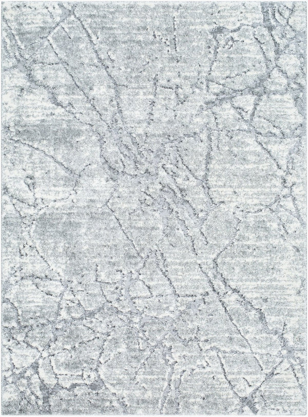 Livabliss Andorra Plush High Pile Area Rug Turkish Woven Polypropylene Blend Entryway Accent Black, Light Gr 7'10" x 10' ARP2313-71010