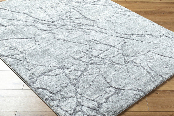 Livabliss Andorra Plush High Pile Area Rug Turkish Woven Polypropylene Blend Entryway Accent Black, Light Gr 7'10" x 10' ARP2313-71010