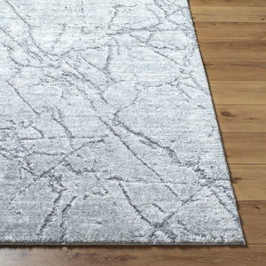 Livabliss Andorra Plush High Pile Area Rug Turkish Woven Polypropylene Blend Entryway Accent Black, Light Gr 7'10" x 10' ARP2313-71010