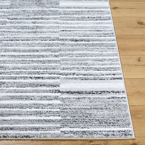 Livabliss Andorra Plush High Pile Machine Woven Rug Mid Century Modern Accent for Cozy Spaces Medium Gray, Bl 5'3" x 7' ARP2316-5373