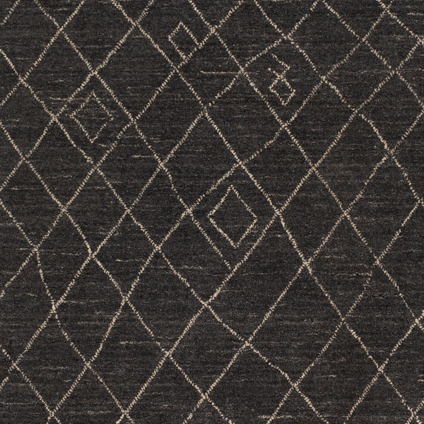 Arlequin ARQ-2301 8' x 10' Handmade Rug ARQ2301-810  Black, Ivory Surya