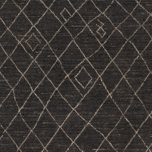 Surya Arlequin 2' X 3' Handmade Rug – Elegant Global Design, Durable Wool & Viscose, Spot Clean Only Black Wool,Viscose Arq2301-23