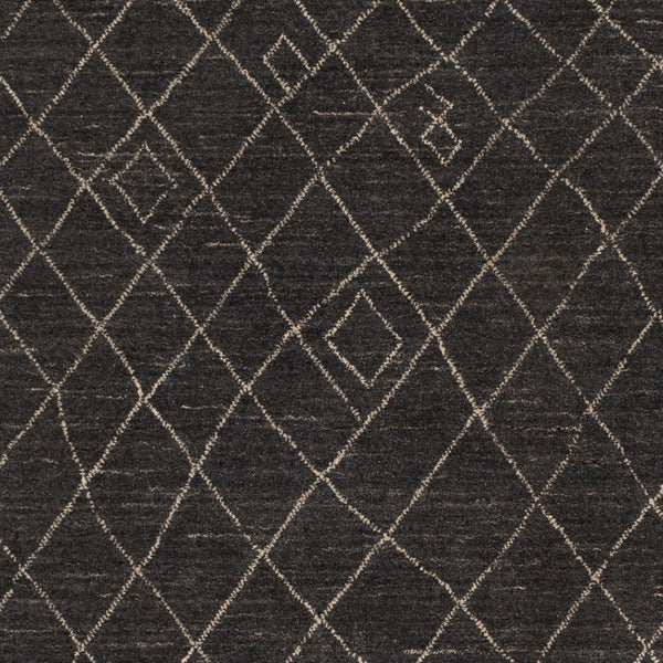 Surya Arlequin 2' X 3' Handmade Rug – Elegant Global Design, Durable Wool & Viscose, Spot Clean Only Black Wool,Viscose Arq2301-23