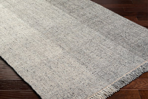 Aarhus ARU-2302 9' x 12' Handmade Rug ARU2302-912  Gray Surya