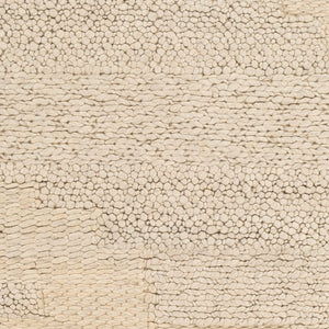 Surya Aravalli 2' X 3' Handmade Wool Rug - Modern Style, Durable, And Cozy Area Rug For Your Home Decor Ivory Wool Arv1003-23