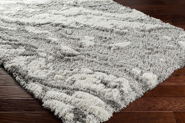 Livabliss Alta Shag Polypropylene Area Rug Scandinavian Modern Plush Pile Entryway Accent Gray, Light Gra 2' x 2'11" ASG2301-23