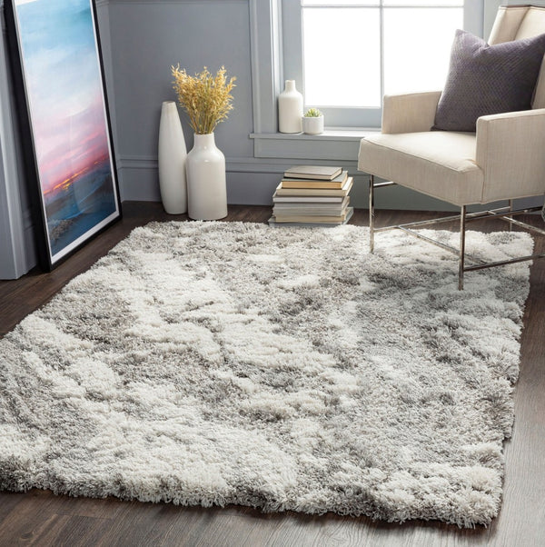 Livabliss Alta Shag Polypropylene Area Rug Scandinavian Modern Plush Pile Entryway Accent Gray, Light Gra 2' x 2'11" ASG2301-23