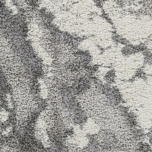 Livabliss Alta Shag Polypropylene Area Rug Scandinavian Modern Plush Pile Entryway Accent Gray, Light Gra 2' x 2'11" ASG2301-23