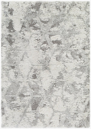 Livabliss Alta Shag Plush Polypropylene Accent Rug for Entryway Bedroom or Cozy Reading Nook Light Gray, Whi 8'10" x 12' ASG2302-81012