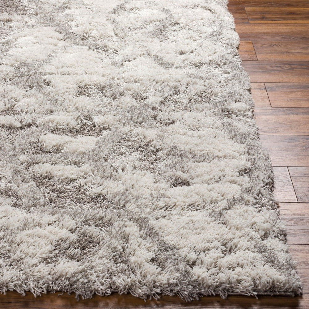 Livabliss Alta Shag Plush Polypropylene Accent Rug for Entryway Bedroom or Cozy Reading Nook Light Gray, Whi 8'10" x 12' ASG2302-81012