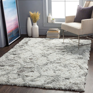 Livabliss Alta Shag Plush Polypropylene Accent Rug for Entryway Bedroom or Cozy Reading Nook Light Gray, Whi 8'10" x 12' ASG2302-81012