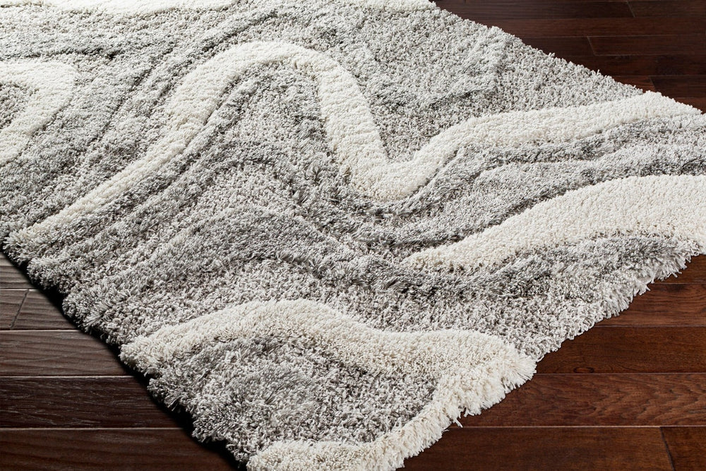 Livabliss Alta Plush Polypropylene Shag Rug Scandinavian Modern Accent for Bedroom or Living Room Charcoal, White 2' x 2'11" ASG2303-23