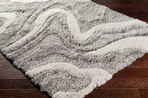 Livabliss Alta Plush Polypropylene Shag Rug Scandinavian Modern Accent for Bedroom or Living Room Charcoal, White 2' x 2'11" ASG2303-23