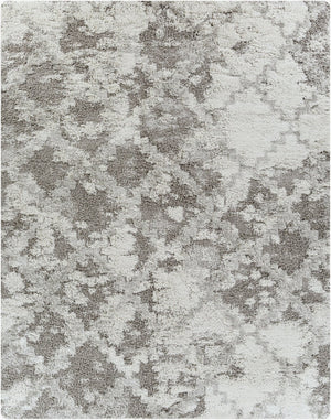 Livabliss Alta Plush Shag Rug Neutral Polypropylene High Pile Comfort for Modern Living Spaces White, Light Gr 7'10" x 10' ASG2305-71010
