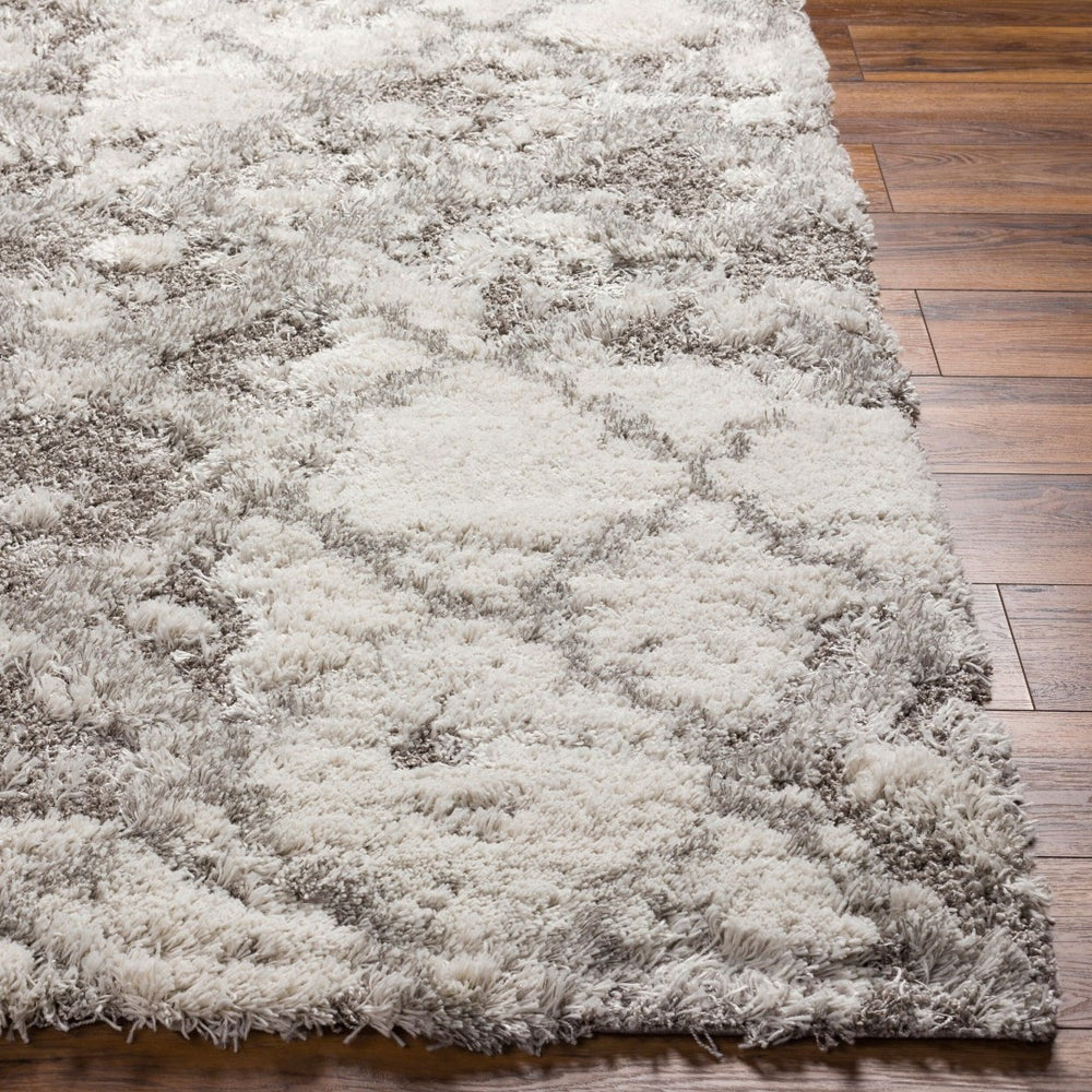 Livabliss Alta Plush Shag Rug Neutral Polypropylene High Pile Comfort for Modern Living Spaces White, Light Gr 2' x 2'11" ASG2305-23