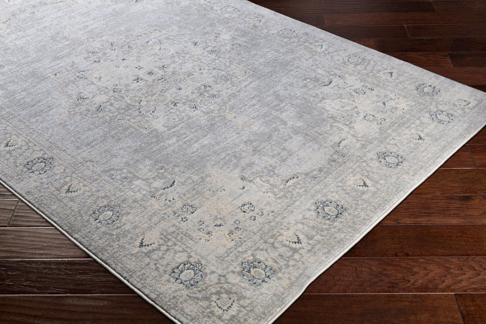 Livabliss Asia Minor Traditional Machine Woven Accent Rug for Entryways and Bedroom Floors ASM2309-23