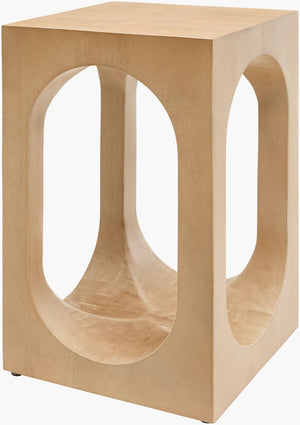 Surya Asner Solid Mango Wood End Table Handcrafted in India for Modern Living Spaces ASNR001-201212