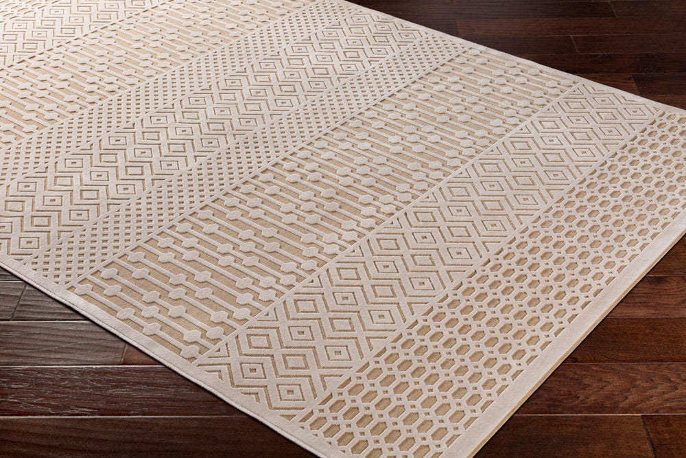 Livabliss Aesop Global Geometric Accent Rug Chenille Polyester Blend Low Pile Entryway Mat ASP2303-23