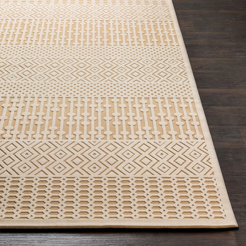 Livabliss Aesop Global Geometric Accent Rug Chenille Polyester Blend Low Pile Entryway Mat ASP2303-23