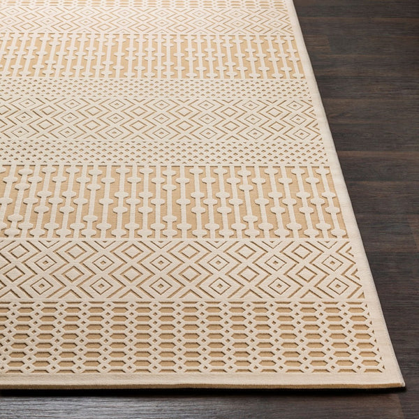Livabliss Aesop Global Geometric Accent Rug Chenille Polyester Blend Low Pile Entryway Mat ASP2303-23