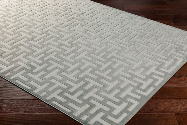 Livabliss Aesop Machine Woven Chenille Accent Rug Soft Low Pile for Modern Transitional Spaces ASP2314-23