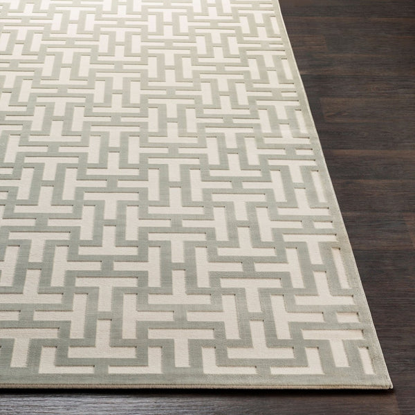 Livabliss Aesop Machine Woven Chenille Accent Rug Soft Low Pile for Modern Transitional Spaces ASP2314-23