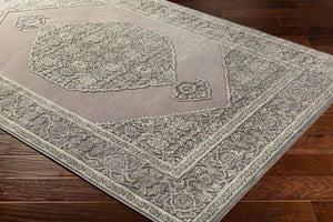 Livabliss Aesop Traditional Chenille Polyester Accent Rug Low Pile Soft Texture for Entryways ASP2317-23