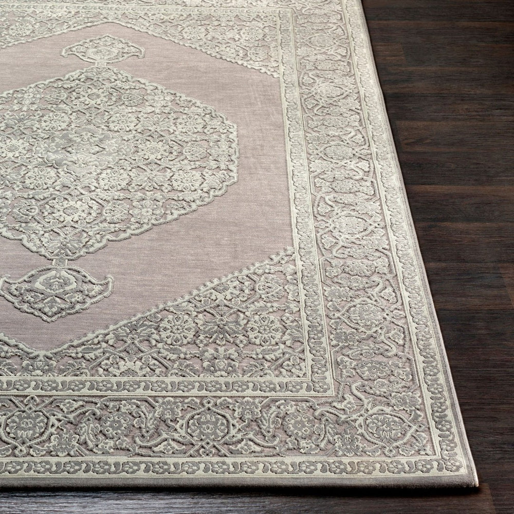 Livabliss Aesop Traditional Chenille Polyester Accent Rug Low Pile Soft Texture for Entryways ASP2317-23