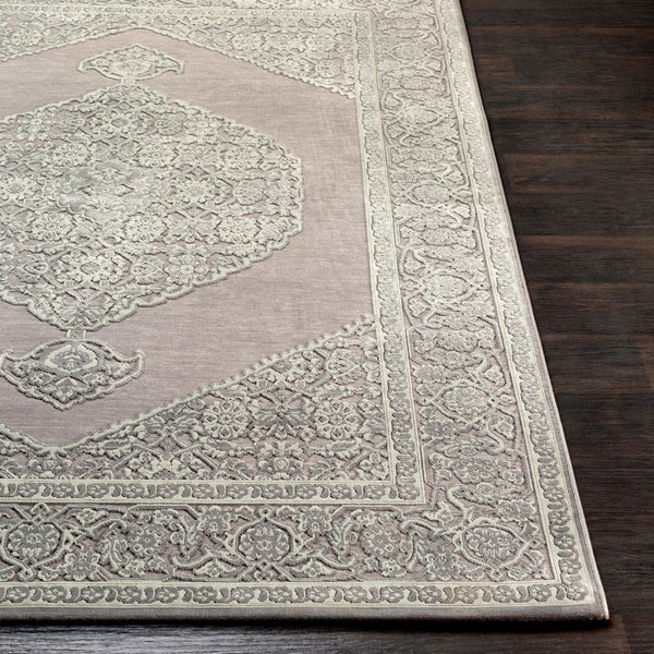 Livabliss Aesop Traditional Chenille Polyester Accent Rug Low Pile Soft Texture for Entryways ASP2317-23