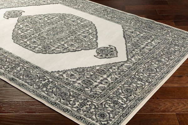 Livabliss Aesop Chenille Traditional Motif Machine Woven Low Pile Entryway Accent Rug ASP2318-23