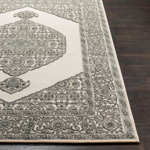 Livabliss Aesop Chenille Traditional Motif Machine Woven Low Pile Entryway Accent Rug ASP2318-23