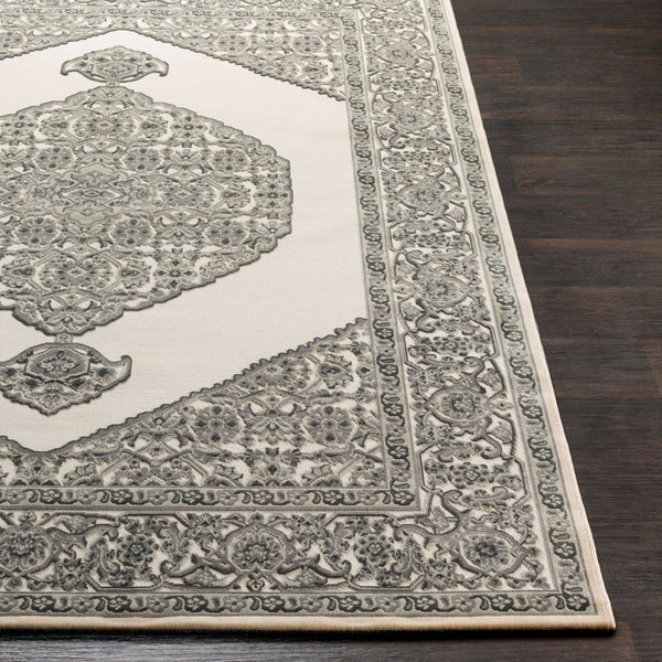 Livabliss Aesop Chenille Traditional Motif Machine Woven Low Pile Entryway Accent Rug ASP2318-23