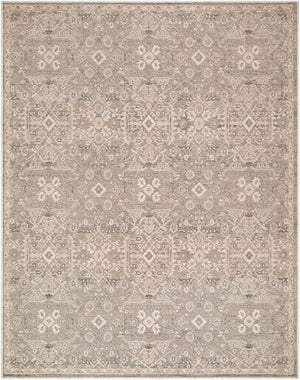 Livabliss Aston Villa Flatweave Polyester Area Rug Traditional Pattern for Living Room Elegance Taupe, Ivory 9' x 12' ASV2301-912