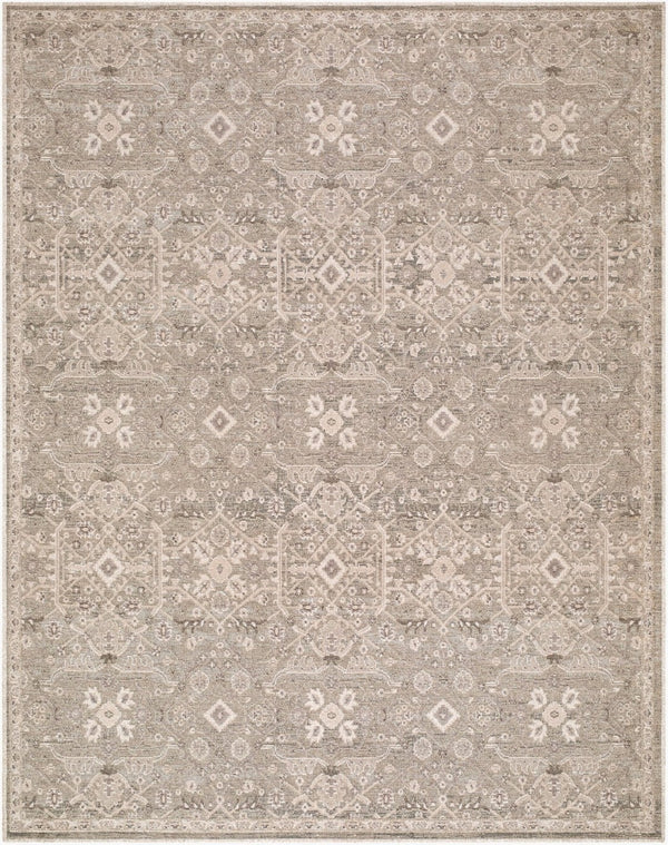 Livabliss Aston Villa Flatweave Polyester Area Rug Traditional Pattern for Living Room Elegance Taupe, Ivory 9' x 12' ASV2301-912