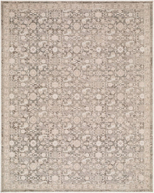 Livabliss Aston Villa Flatweave Polyester Area Rug Turkey Woven Medallion Living Room Floor Stone Gray, Ta 10' x 14' ASV2305-1014