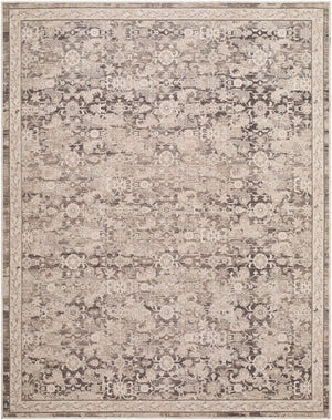 Livabliss Aston Villa Flatweave Polyester Area Rug Turkish Medallion Pattern for Living Dining Rooms Beige, Taupe 9' x 12' ASV2306-912