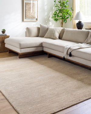 Astana ATT-2301 9' x 12' Handmade Rug ATT2301-912  Khaki, Sand Surya