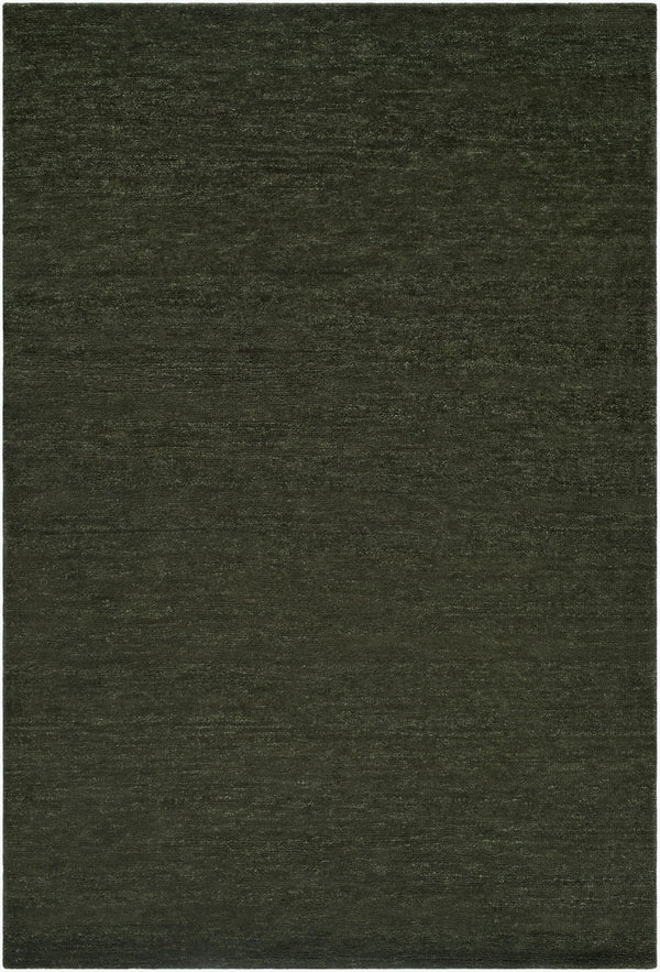Surya Astana Hand Knotted Wool Area Rug Farmhouse Cottage Style for Living Dining Bedroom 10' x 14' Rectangle ATT2307-1014