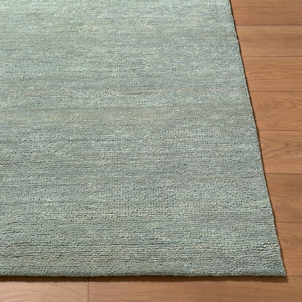 Surya Astana Hand Knotted Wool Area Rug Rustic Farmhouse Cottage Living Room Floor Accent 10' x 14' Rectangle ATT2308-1014