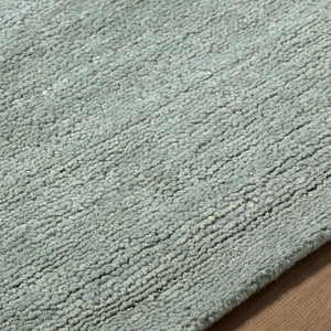 Surya Astana Hand Knotted Wool Area Rug Rustic Farmhouse Cottage Living Room Floor Accent 10' x 14' Rectangle ATT2308-1014