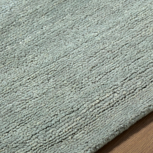 Surya Astana Hand Knotted Wool Area Rug Rustic Farmhouse Cottage Living Room Floor Accent 10' x 14' Rectangle ATT2308-1014