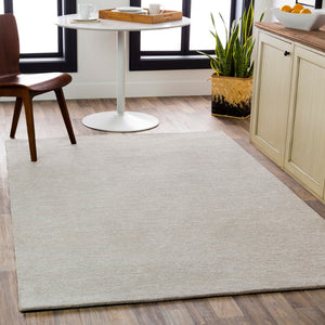 Surya Austin Handmade 2' X 3' Area Rug - Luxurious New Zealand Wool & Viscose, Perfect For Modern Homes! Light Gray Nz Wool,Viscose Aus2301-23