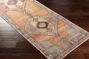 Livabliss Antiquity Flatweave Runner Rug Chenille Polyester Traditional Pattern for Hallways Dark Brown, Cam 2'7" x 7'3" AUY2303-2773
