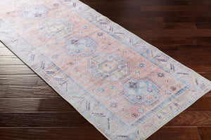 Livabliss Antiquity Flatweave Chenille Runner Rug Ornamental Traditional Pattern for Hallways Peach, Pale Blu 2'7" x 7'3" AUY2306-2773