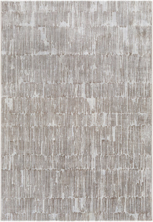 Livabliss Avshar Belgian Woven High Pile Accent Rug Polypropylene Blend Minimalist Modern Gray, Light Gra 8'8" x 12'10" AVH2302-91210