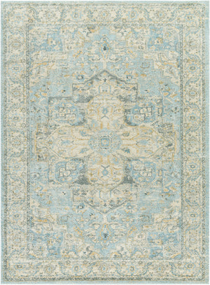 Avellino AVL-2300 9'2" x 12' Machine Woven Rug AVL2300-9212  Light Beige, Light Gray, Pale Blue, Gray, Denim, Tan Surya