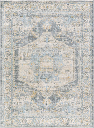 Livabliss Avellino High Pile Plush Area Rug Polypropylene Blend for Living Room Floors Light Beige, Li 10' x 14' AVL2303-1014